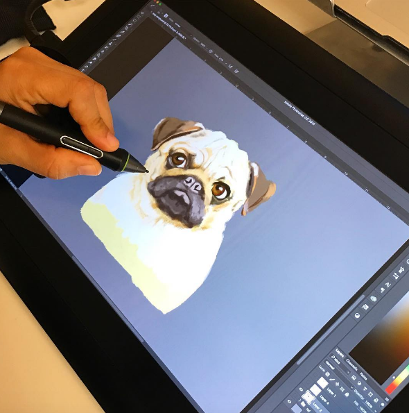 Pug 